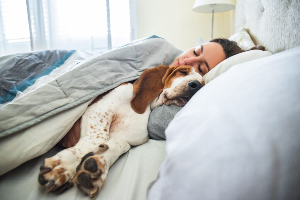Woman snoozing in bed with her doggo